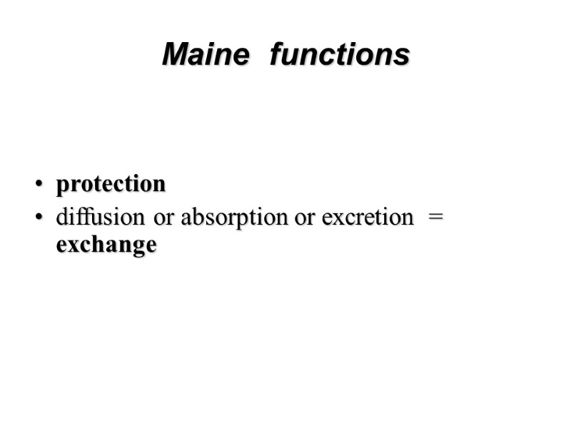 Maine  functions   protection  diffusion or absorption or excretion  =